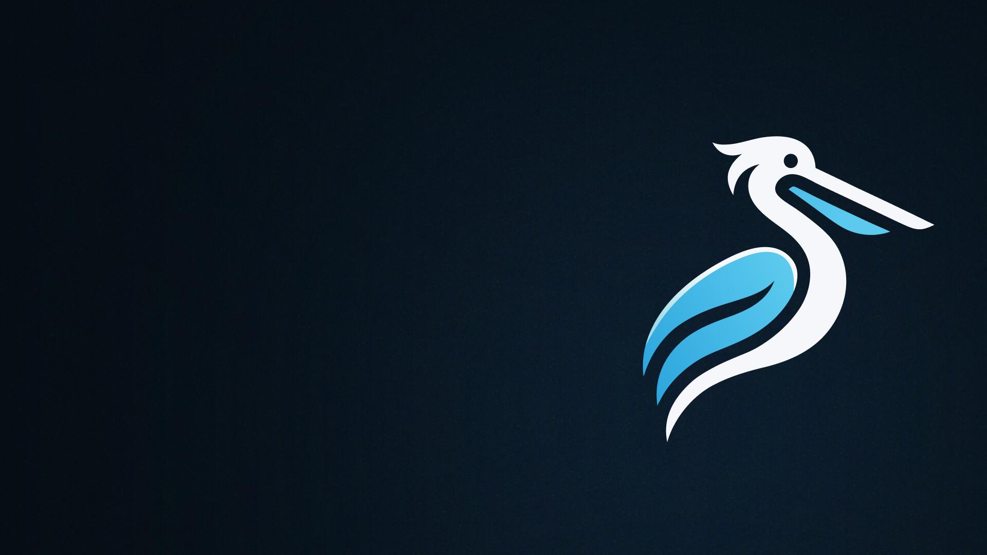 Discovery splash banner for Pelican Discord server