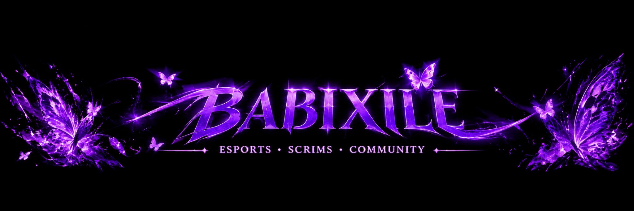 Discovery splash banner for BABIXILE Discord server