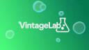 Discovery splash banner for Vintage Lab🧪 Discord server