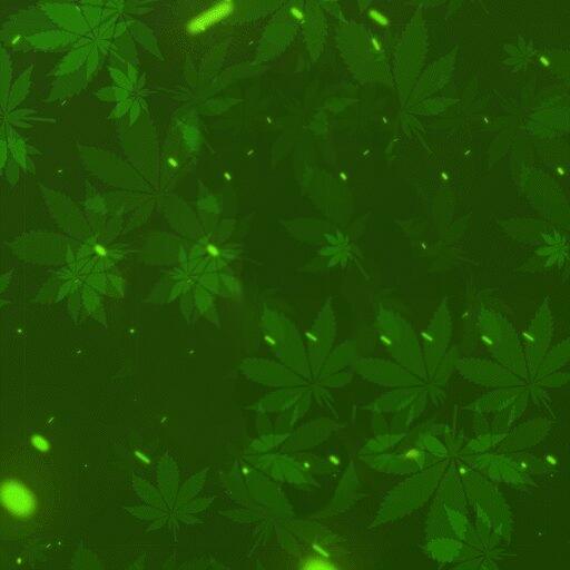 Discovery splash banner for ➥ CS2.OG-LION.RO Discord server