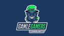 Discovery splash banner for DIN-SERVER | GAMLE GAMERS Discord server