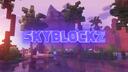 Discovery splash banner for SkyBlockZ Discord server