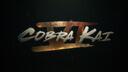 Discovery splash banner for Cobra Kai Discord server
