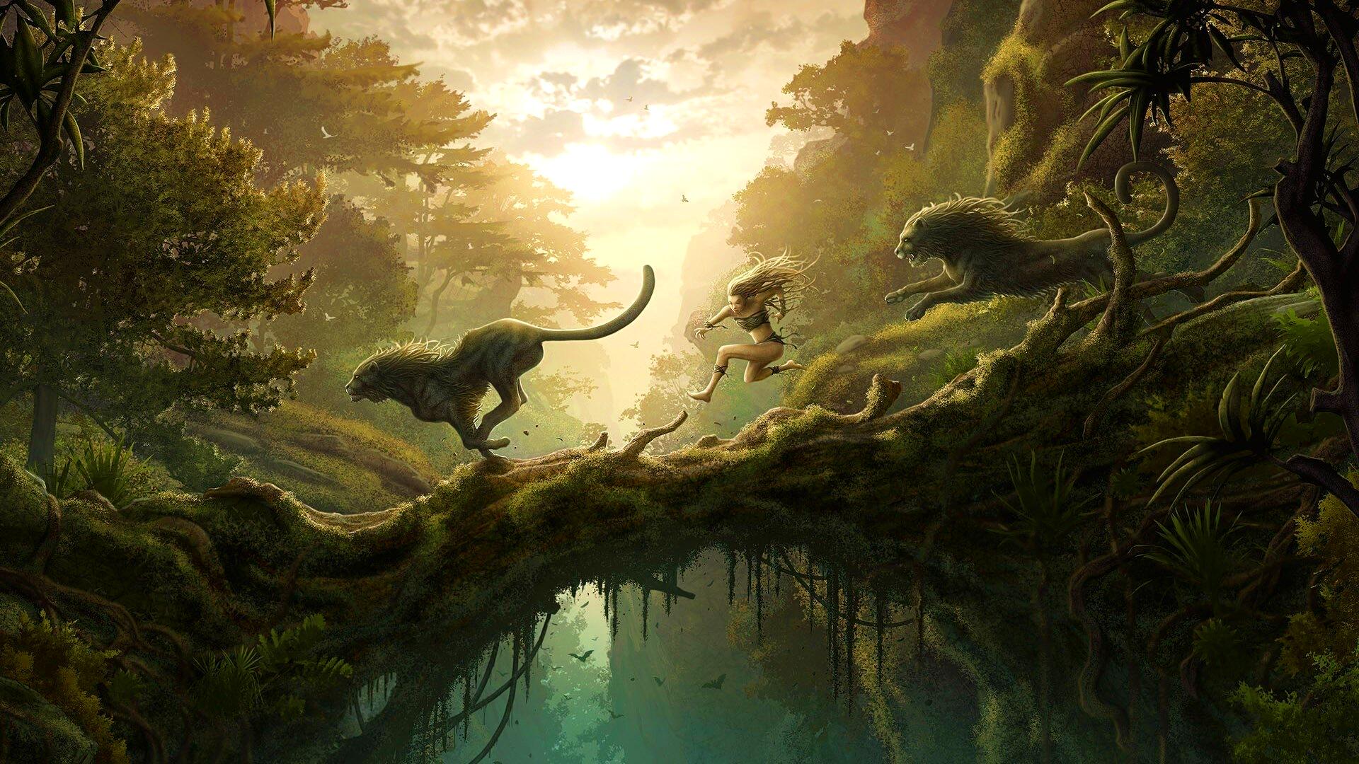 Discovery splash banner for Vegan Dreamland Discord server