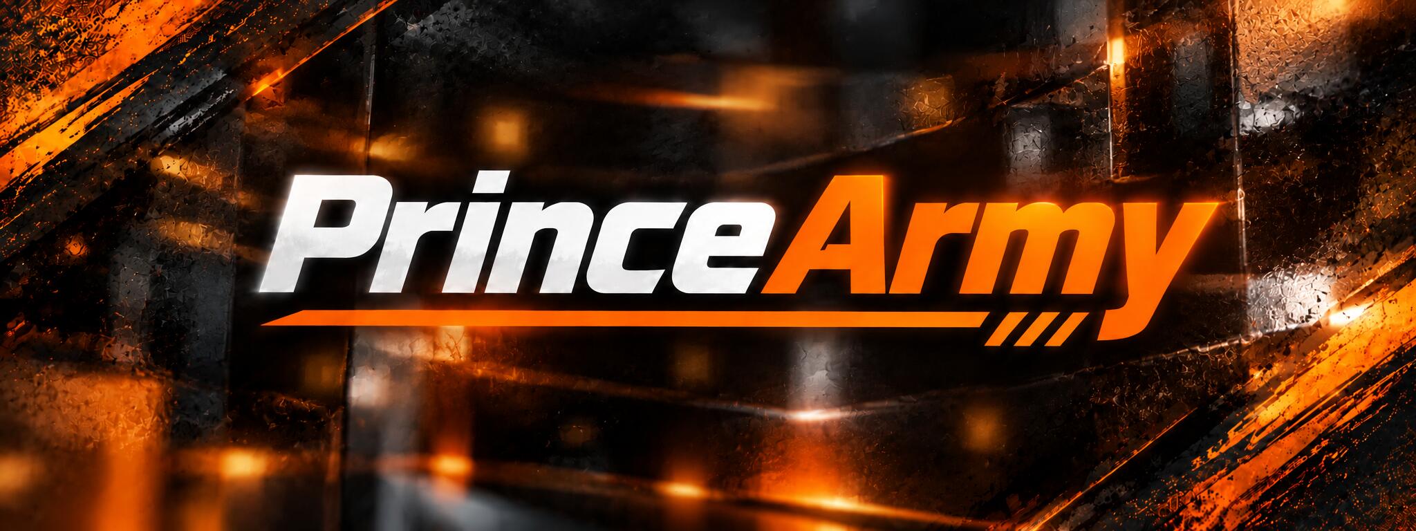 Discovery splash banner for PrinceArmy Discord server
