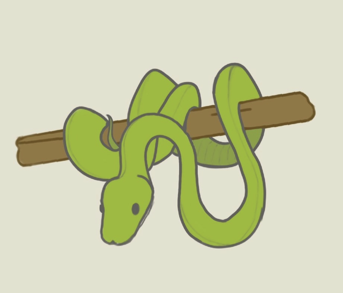 Discovery splash banner for Reptile Palace Network Discord server