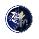 Discovery icon for SSLxVRFC Discord server