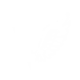 Discovery icon for VanguardValues Discord server