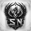 Discovery icon for SN Esport closed Discord server