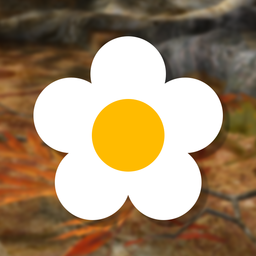 Discovery icon for Pikcord Discord server