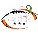 Discovery icon for Old Collegiate Football Association Discord server