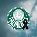 Discovery icon for Palmeiras • Eterno Lito Discord server
