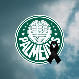 Discovery icon for Palmeiras • Eterno Lito Discord server